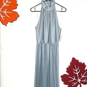 Taylor Long Pleated Dress Size 10
